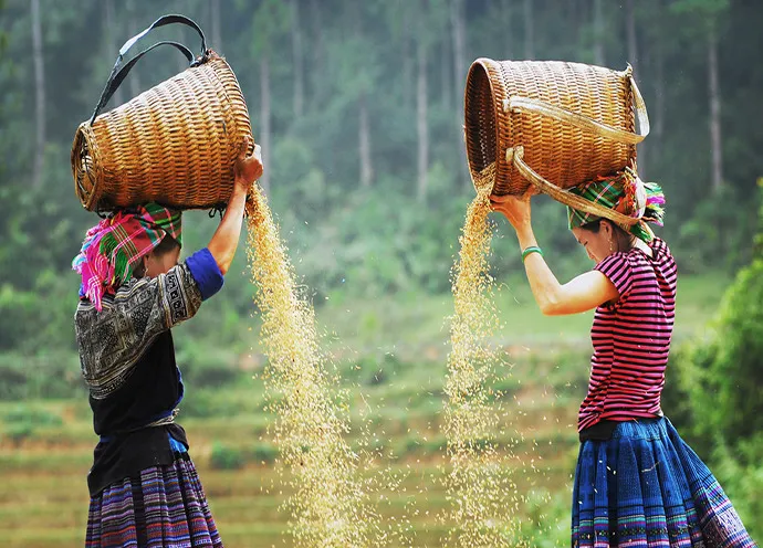 Mù Cang Chải – Bình yên thả mình giữa núi rừng Tây Bắc