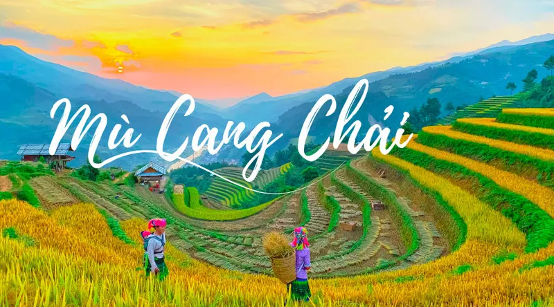 Mù Cang Chải mùa lúa chín – Vẻ đẹp của mùa vàng Yên Bái