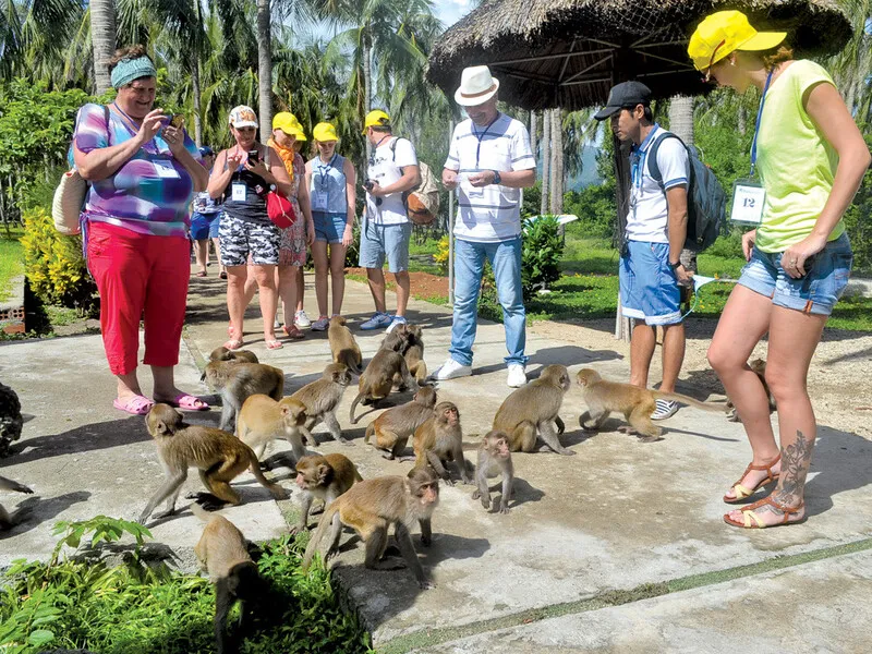 Nha Trang – Thành phố du lịch biển và những cánh én