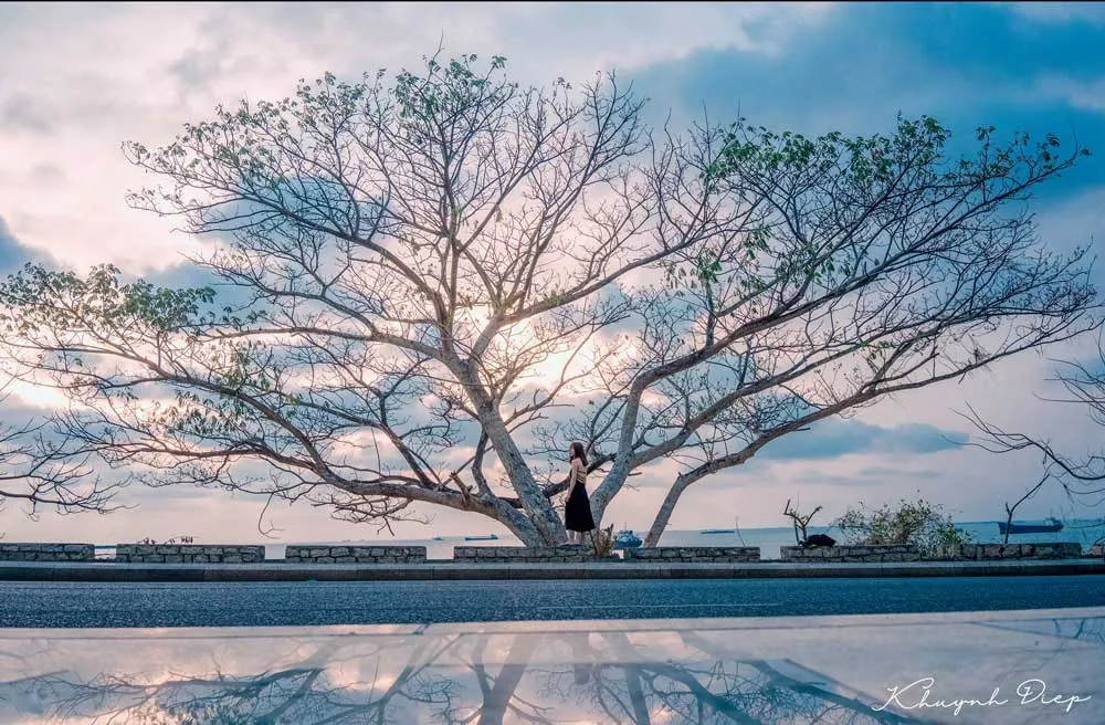 Những địa điểm ngắm hoàng hôn Vũng Tàu đẹp mắt