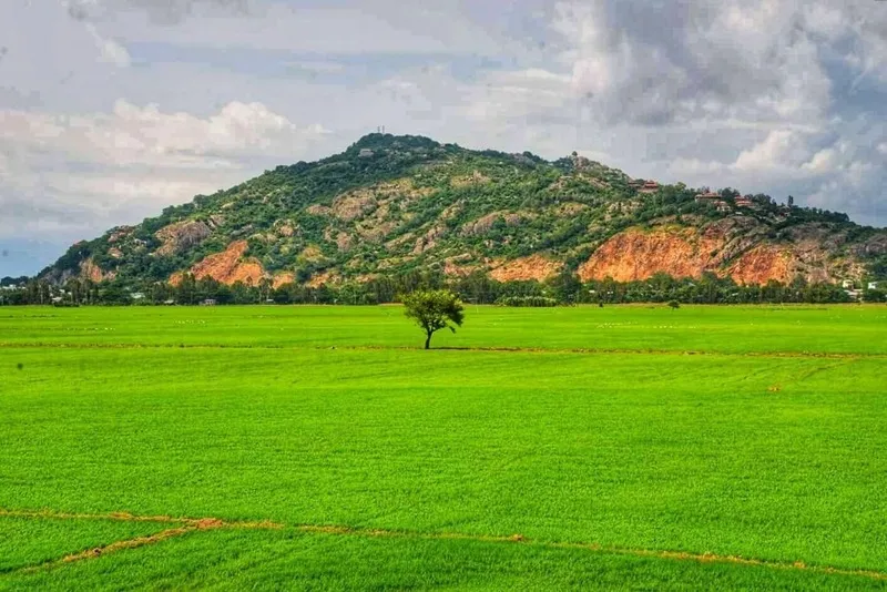 Núi Sam Châu Đốc An Giang – Tìm về vùng đất linh thiêng