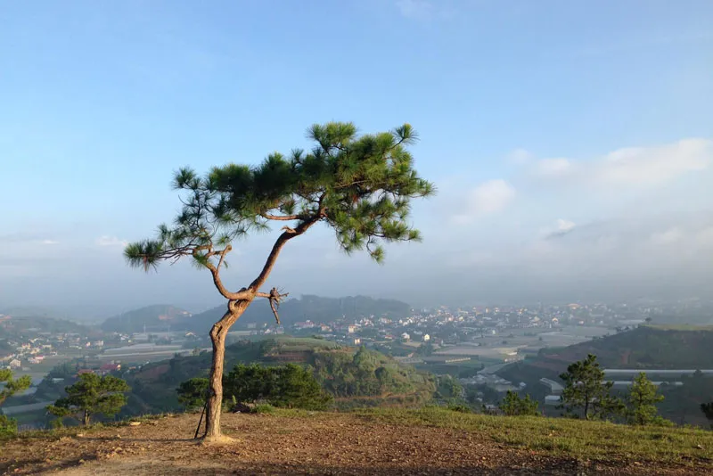 Ôm trọn Đà Lạt vào lòng trên đồi Thiên Phúc Đức