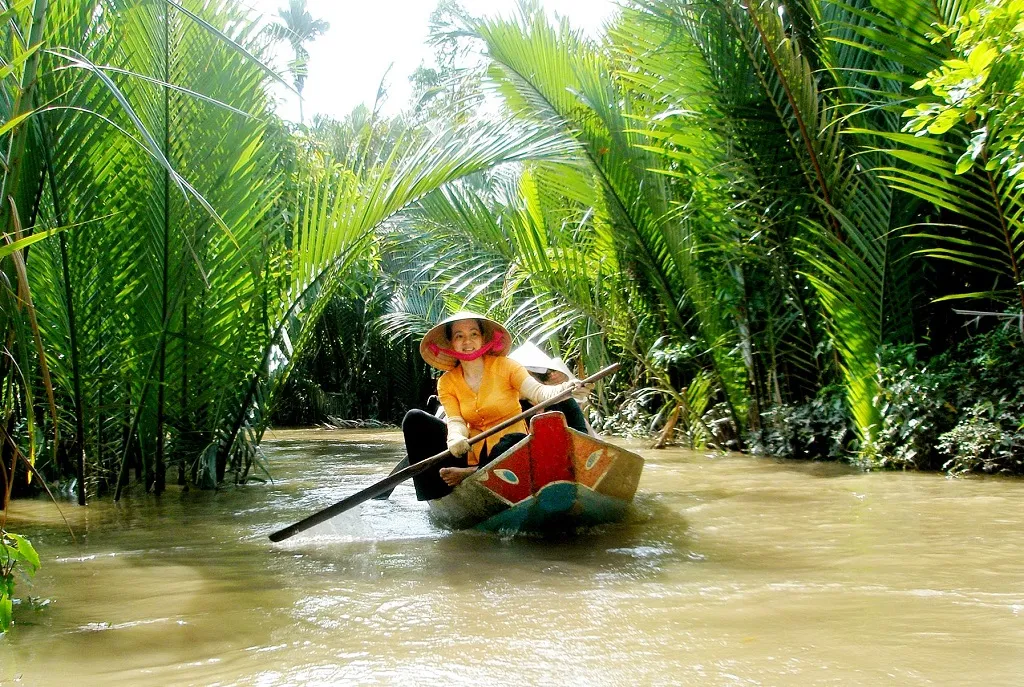 Rừng dừa Bảy Mẫu – Hành trình khám phá thú vị