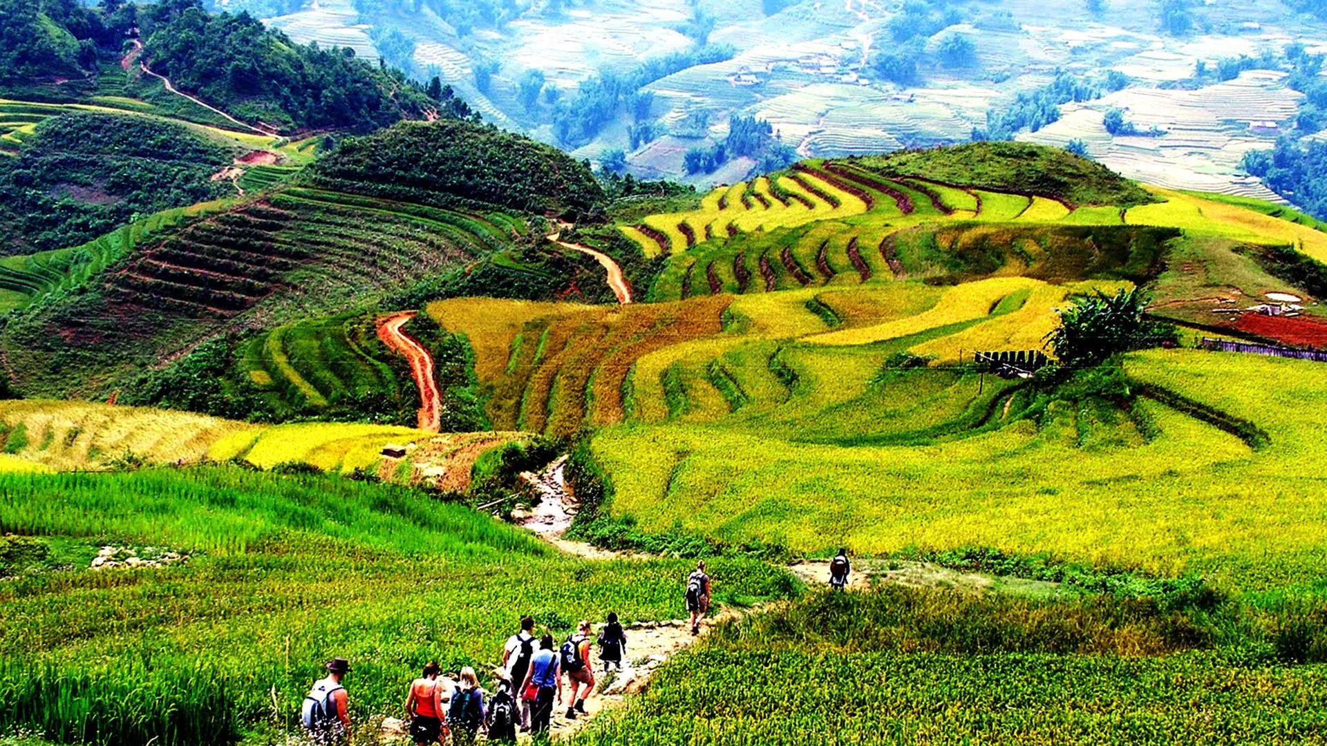 Ruộng bậc thang ở Sapa – Vẻ đẹp kỳ vĩ nơi núi rừng