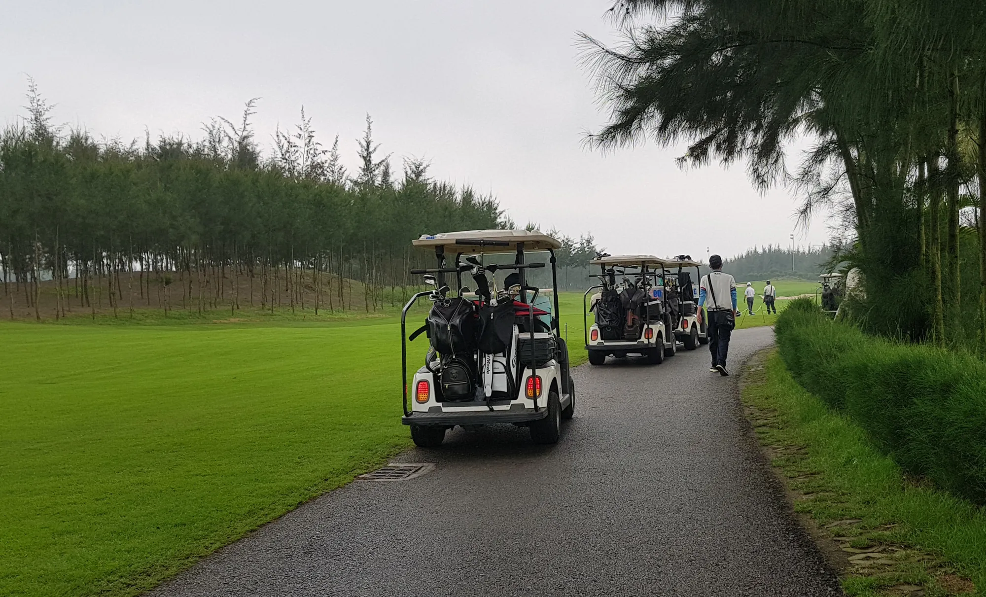 Sân Golf FLC Sầm Sơn – Review địa điểm, dịch vụ và tiện ích