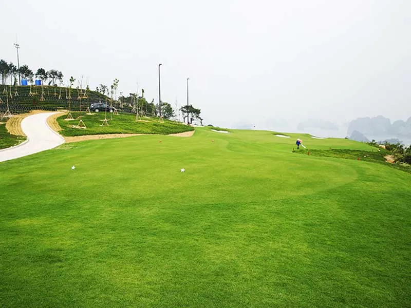 Sân Golf Minh Trí – Trải nghiệm đẳng cấp 5 sao gần Hà Nội