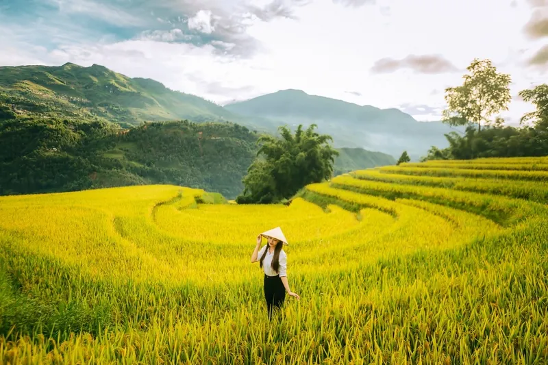 SaPa tháng 9 – Vi vu thị trấn sương mù mùa lúa chín