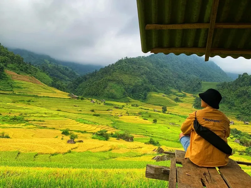 SaPa tháng 9 – Vi vu thị trấn sương mù mùa lúa chín