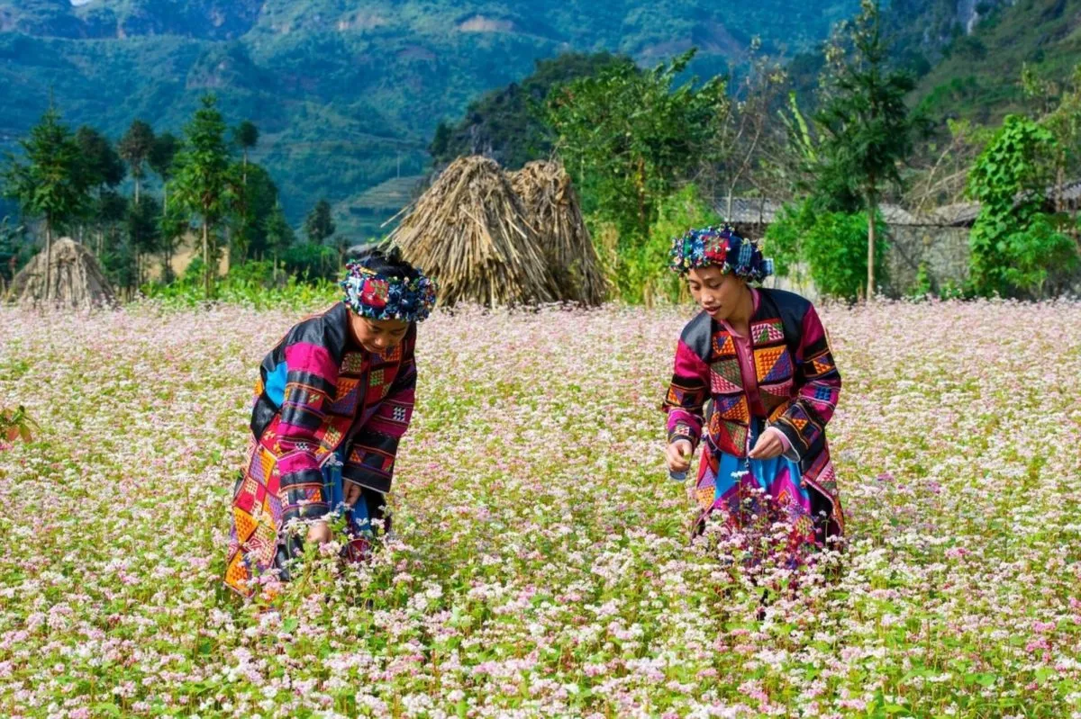 Sông Nho Quế – Mạch sống tươi mát của vùng đất Hà Giang