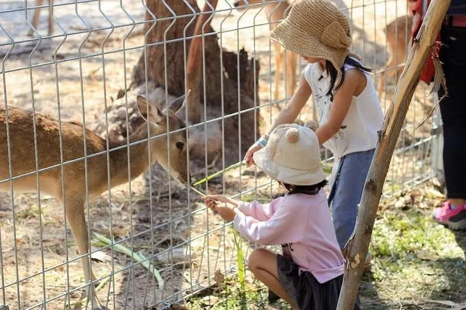 Suối nước nóng Bình Châu: Kinh nghiệm du lịch mới nhất