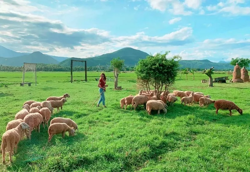 Tất tần tật kinh nghiệm du lịch Cam Ranh cho chuyến đi trọn vẹn