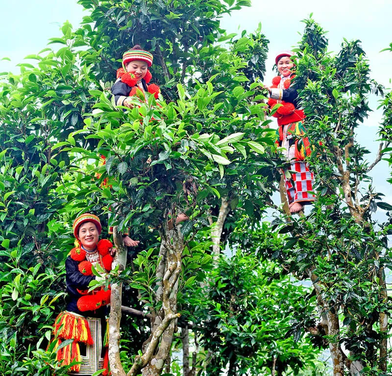 Tây Côn Lĩnh – Hành trình chinh phục nóc nhà Đông Bắc