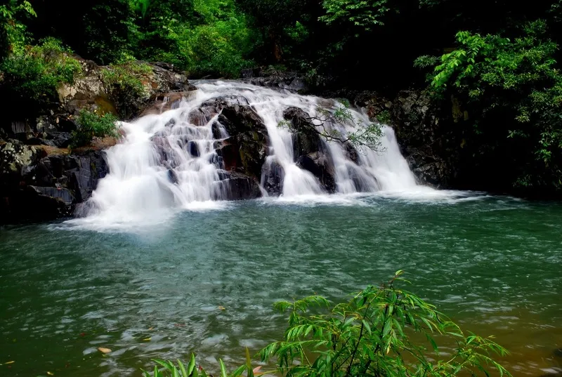 Thác Yang Bay – Vẻ đẹp hoang sơ, hùng vĩ của đại ngàn