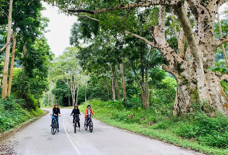 Thời tiết Bắc Kạn mùa nào đẹp? Thời điểm lý tưởng để đi du lịch Bắc Kạn