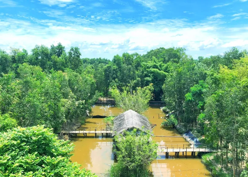 Thời Tiết Hậu Giang Có Gì Nổi Bật? Du Lịch Hậu Giang Mùa Nào Đẹp Nhất?