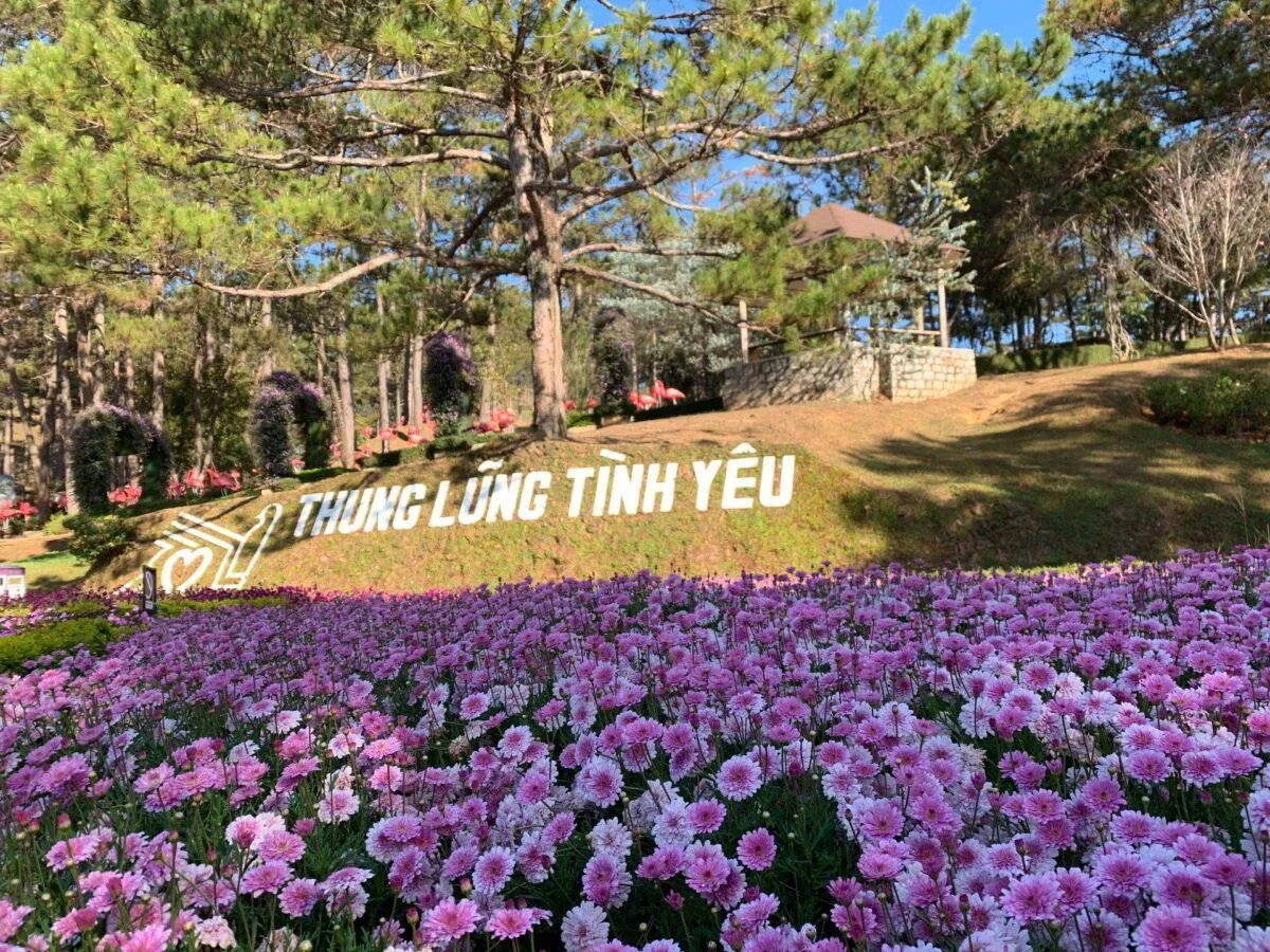 Thung lũng Tình Yêu Đà Lạt – Nắng vàng như mật, ngọt quên lối về