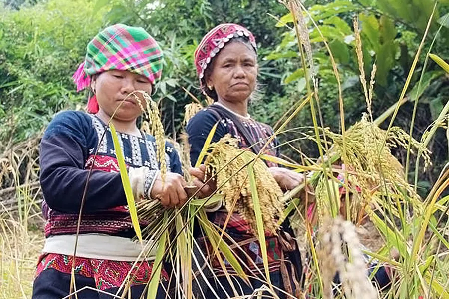 Top 10 lễ hội Sapa đặc sắc không nên bỏ lỡ