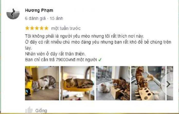 Top 10 quán cafe thú cưng siêu dễ thương & hot nhất tại Sài Gòn