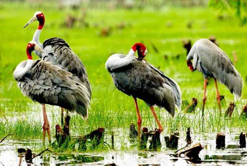 Top 12 địa điểm du lịch Hậu Giang đẹp bình yên nhất