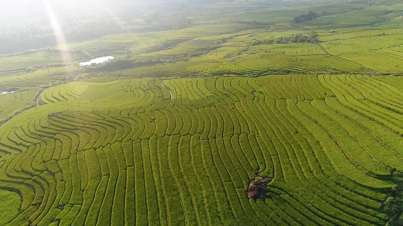 Top 12 địa điểm du lịch Lai Châu nhất định phải ghé một lần