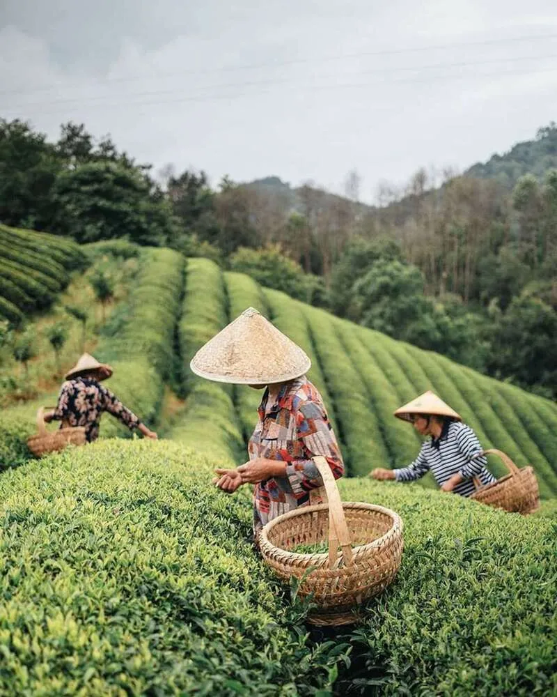 Top 12 địa điểm du lịch Thái Nguyên đẹp, nổi tiếng