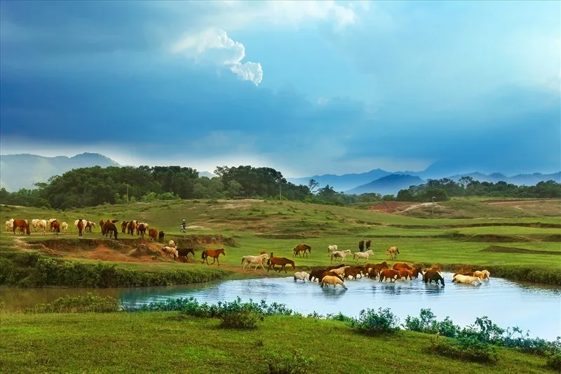 Top 12 địa điểm du lịch Thái Nguyên đẹp, nổi tiếng