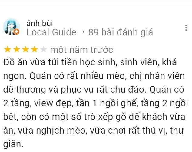 Top 14 quán cafe mèo Hà Nội xinh yêu hết nấc, thiên đường của hội “con sen” Hà thành