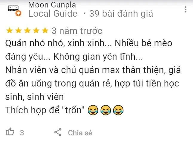 Top 14 quán cafe mèo Hà Nội xinh yêu hết nấc, thiên đường của hội “con sen” Hà thành