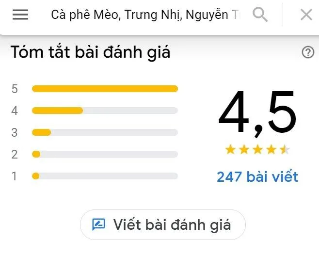 Top 14 quán cafe mèo Hà Nội xinh yêu hết nấc, thiên đường của hội “con sen” Hà thành