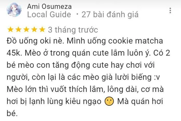 Top 14 quán cafe mèo Hà Nội xinh yêu hết nấc, thiên đường của hội “con sen” Hà thành