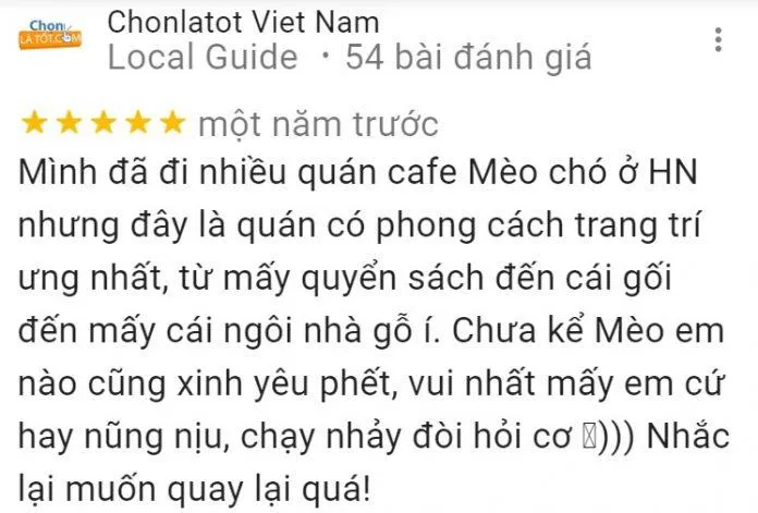 Top 14 quán cafe mèo Hà Nội xinh yêu hết nấc, thiên đường của hội “con sen” Hà thành