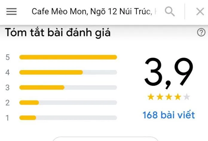 Top 14 quán cafe mèo Hà Nội xinh yêu hết nấc, thiên đường của hội “con sen” Hà thành