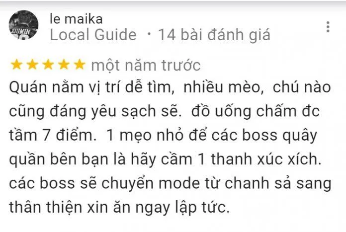 Top 14 quán cafe mèo Hà Nội xinh yêu hết nấc, thiên đường của hội “con sen” Hà thành