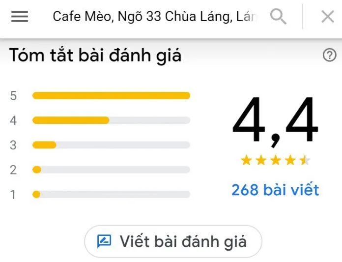 Top 14 quán cafe mèo Hà Nội xinh yêu hết nấc, thiên đường của hội “con sen” Hà thành