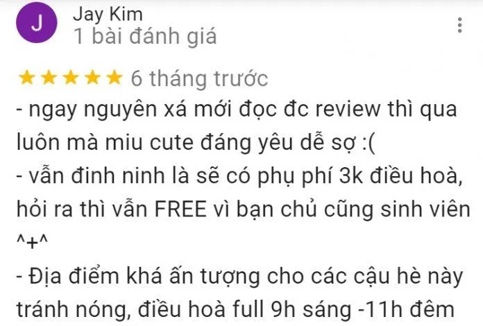 Top 14 quán cafe mèo Hà Nội xinh yêu hết nấc, thiên đường của hội “con sen” Hà thành