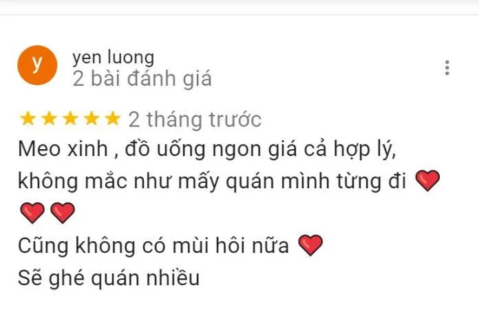 Top 14 quán cafe mèo Hà Nội xinh yêu hết nấc, thiên đường của hội “con sen” Hà thành