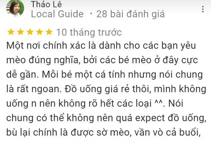 Top 14 quán cafe mèo Hà Nội xinh yêu hết nấc, thiên đường của hội “con sen” Hà thành