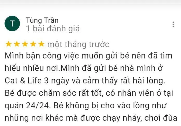 Top 14 quán cafe mèo Hà Nội xinh yêu hết nấc, thiên đường của hội “con sen” Hà thành