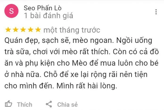 Top 14 quán cafe mèo Hà Nội xinh yêu hết nấc, thiên đường của hội “con sen” Hà thành