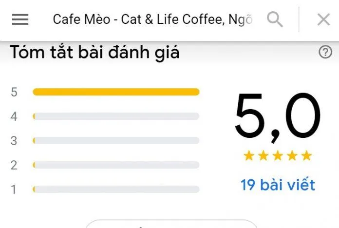 Top 14 quán cafe mèo Hà Nội xinh yêu hết nấc, thiên đường của hội “con sen” Hà thành