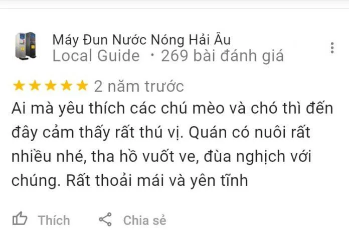 Top 14 quán cafe mèo Hà Nội xinh yêu hết nấc, thiên đường của hội “con sen” Hà thành