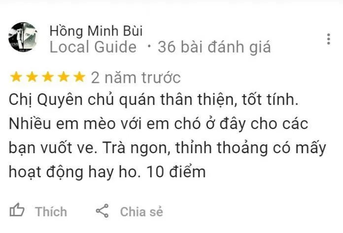 Top 14 quán cafe mèo Hà Nội xinh yêu hết nấc, thiên đường của hội “con sen” Hà thành