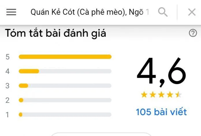 Top 14 quán cafe mèo Hà Nội xinh yêu hết nấc, thiên đường của hội “con sen” Hà thành