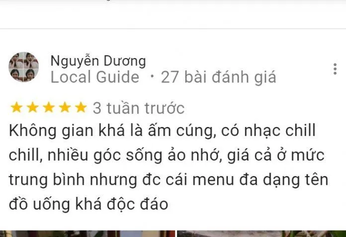 Top 14 quán cafe mèo Hà Nội xinh yêu hết nấc, thiên đường của hội “con sen” Hà thành