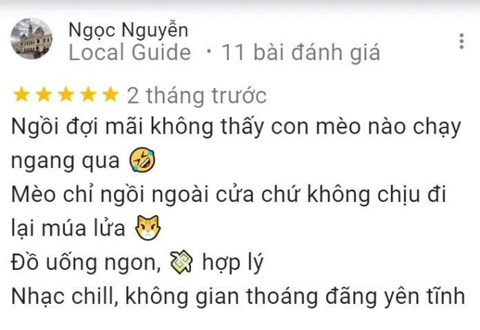 Top 14 quán cafe mèo Hà Nội xinh yêu hết nấc, thiên đường của hội “con sen” Hà thành