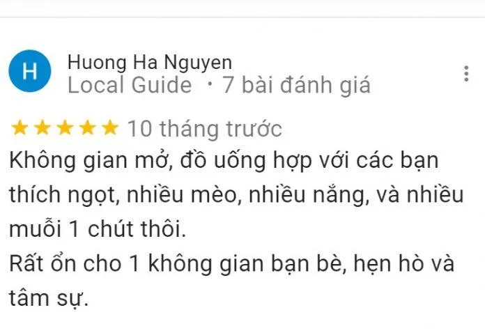 Top 14 quán cafe mèo Hà Nội xinh yêu hết nấc, thiên đường của hội “con sen” Hà thành