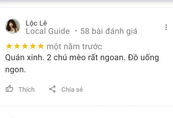 Top 14 quán cafe mèo Hà Nội xinh yêu hết nấc, thiên đường của hội “con sen” Hà thành