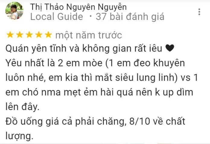 Top 14 quán cafe mèo Hà Nội xinh yêu hết nấc, thiên đường của hội “con sen” Hà thành