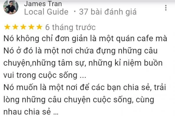 Top 14 quán cafe mèo Hà Nội xinh yêu hết nấc, thiên đường của hội “con sen” Hà thành