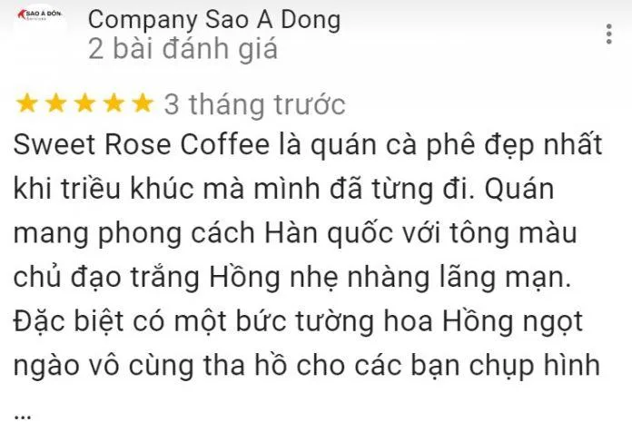 Top 14 quán cafe mèo Hà Nội xinh yêu hết nấc, thiên đường của hội “con sen” Hà thành